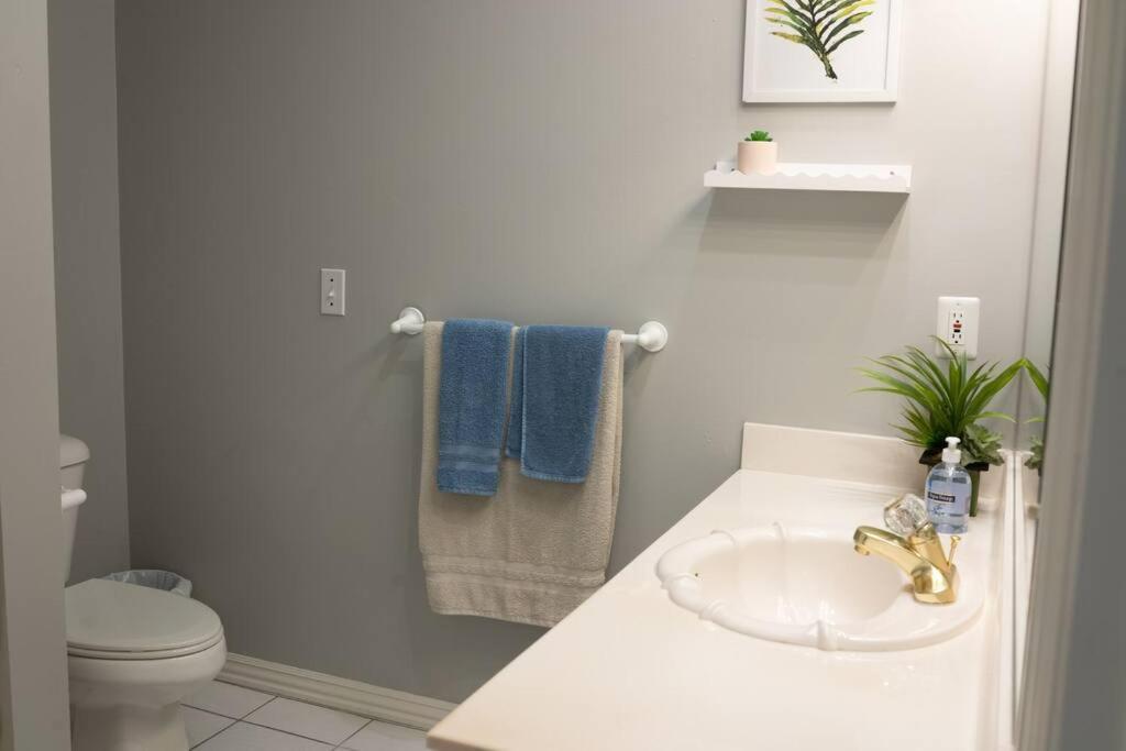 Вилла Walking Distance To Coler Mtn Bike - 3Br 2Ba Бентонвилль Экстерьер фото